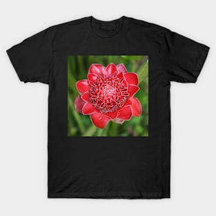 Ginger Flower T-Shirt